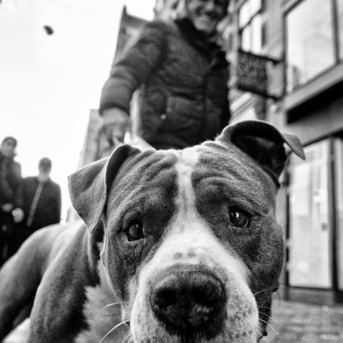 Streetphotographyamsterdam