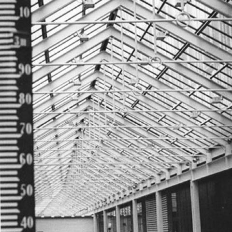 Streetphotographyamsterdam